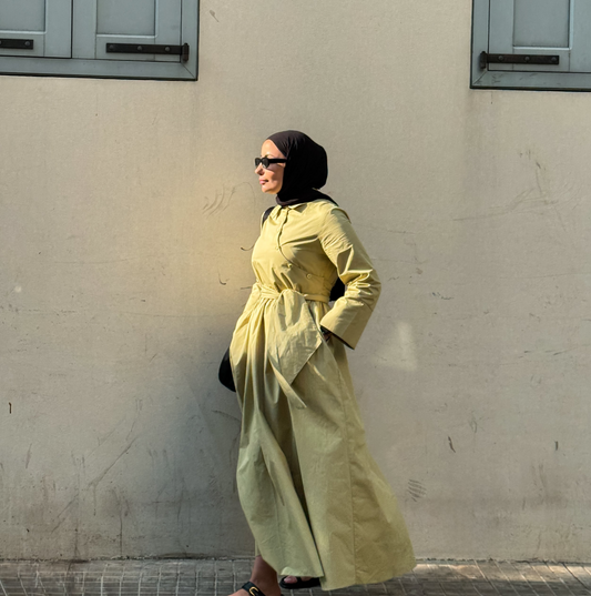 Poplin Dress